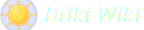 BrikiWiki